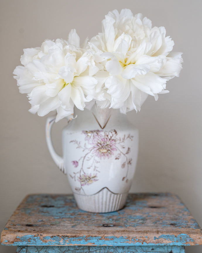 White Peonies in Floral Pitcher
