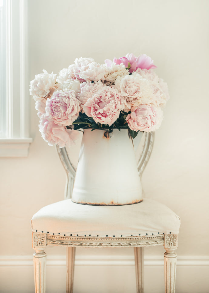 Peonies on French Chair