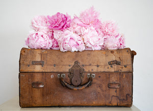 Pink peonies on vintage leather suitcase