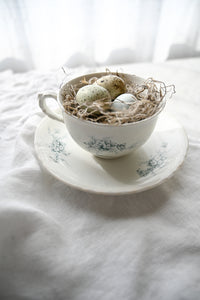 Vintage Teacup and Quail Eggs